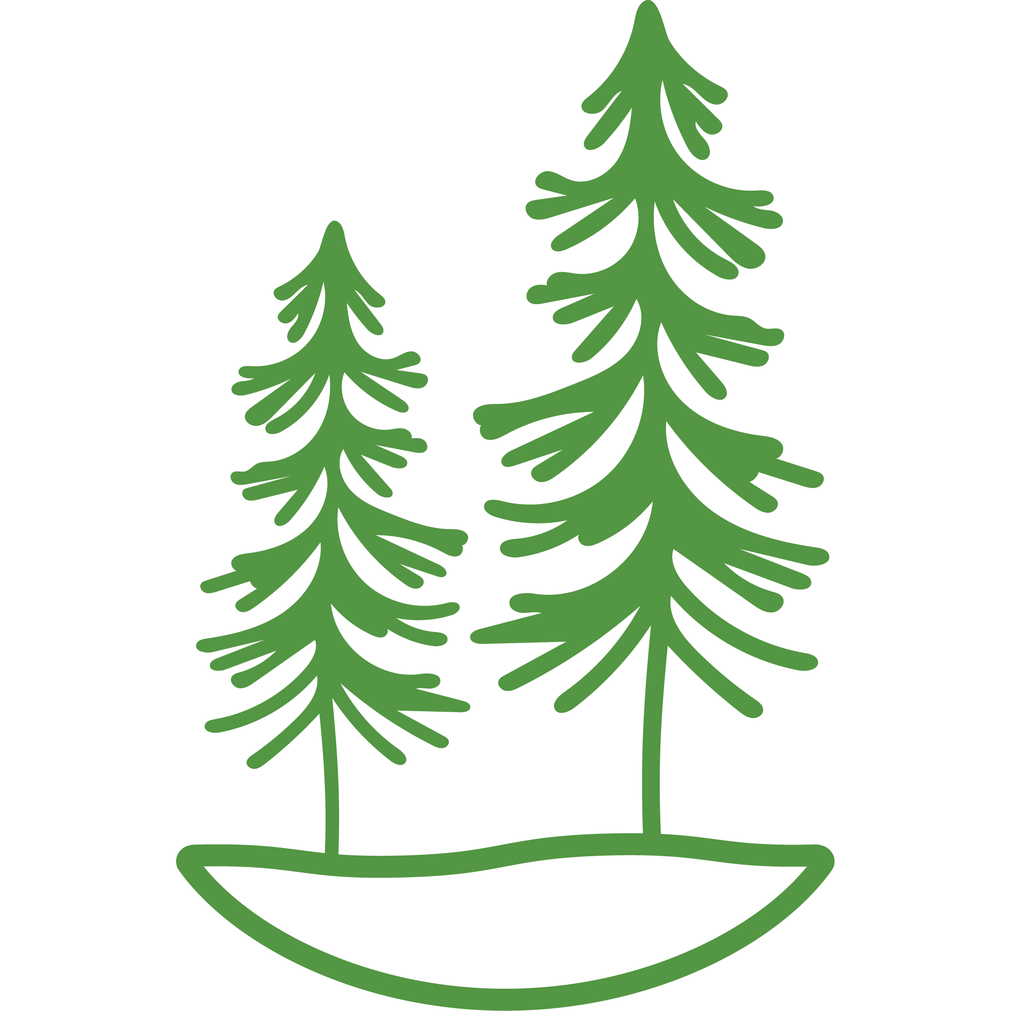 The Pine Tree embodies resilience, renewal, and steady growth. In local soil but reaching upwards and outwards, the tree represents a community that thrives through diversity, innovation, and inclusion. 