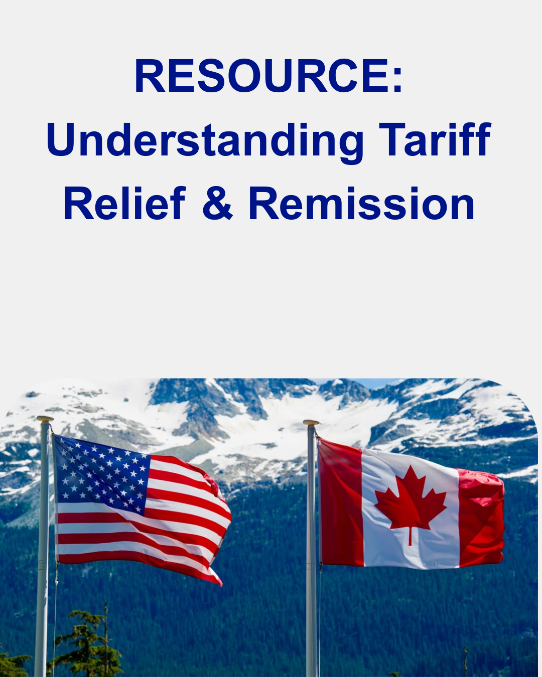Understanding tariff relief and remission graphic